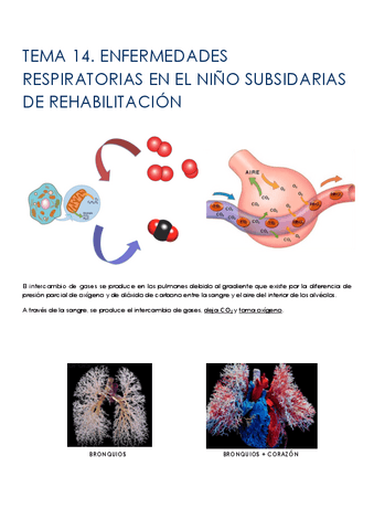 TEMA-14-ENFERMEDADES-RESPIRATORIAS-EN-EL-NINO-SUBSIDARIAS-DE-REHABILITACION.pdf