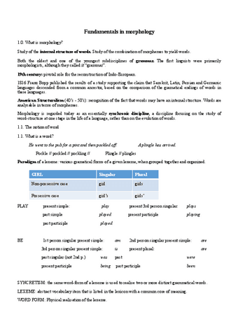Fundamentals-in-morphology.pdf