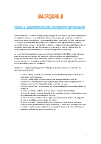DERECHO DEL TRABAJO (apuntes finales).pdf