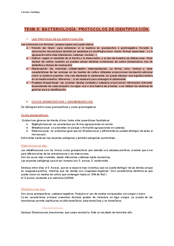 Tema-5-micro.pdf