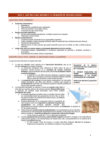 TEMA-1-ANTROPOLOGIA.pdf