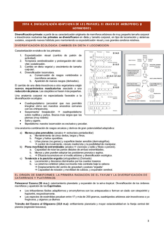 TEMA-4-ANTROPOLOGIA.pdf