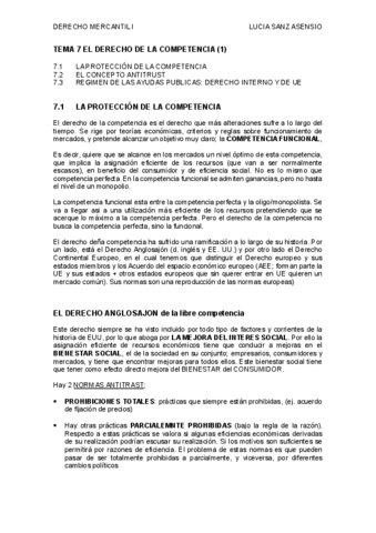 TEMA-7-MERCANTIL-I-LUCIA-SANZ-ASENSIO.pdf