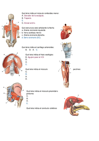 Examen-practico-final-EFCH-I.pdf