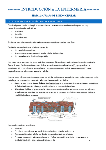 TEMA-1-INTRO.pdf