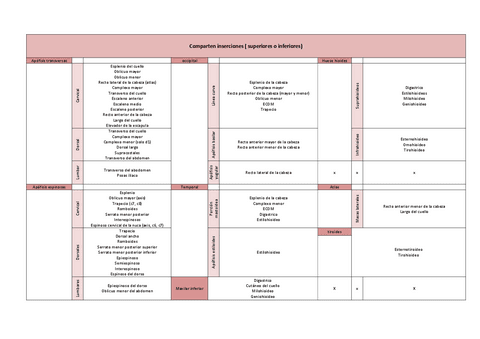 Inserciones-de-Musculos.pdf