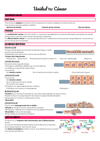 Unidad-1c-Cancer.pdf
