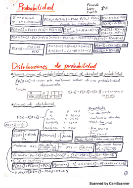 RESUMEN DE FORMULAS Y CONTENIDOS.pdf