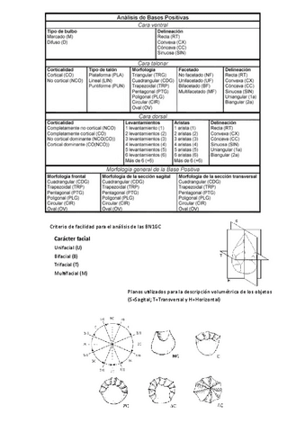 Clasificacion-de-lascas.pdf