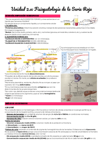 Unidad-2.a-Fisiopatologia-de-la-Serie-Roja.pdf