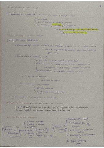 PDF-Scanner-30-01-24-6.09.35.pdf