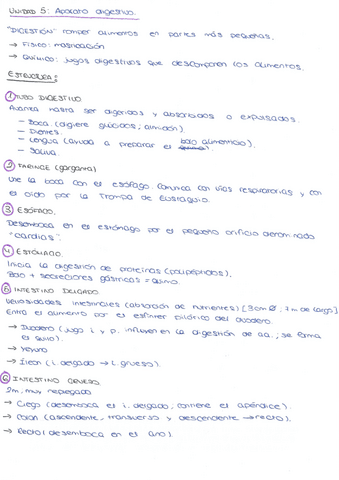 PROCESOS-TEMA-5-APARATO-DIGESTIVO.pdf