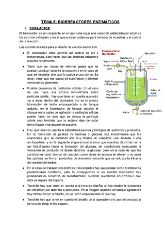 Tema-5-Bioquimica-industrial.docx.pdf
