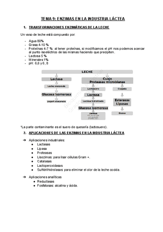 Tema-9.-Enzimas-en-la-industria-lactea.docx.pdf