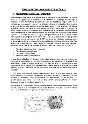 Tema-10.-Enzimas-en-la-industriai-carnica.pdf