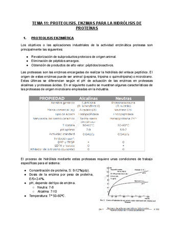 Tema-11.-Proteolisis.-Enzimas-para-la-hidrolisis-de-proteinas.pdf
