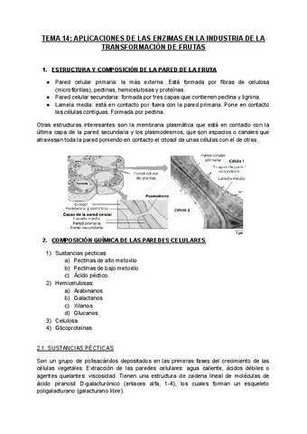 TEMA-14.-Aplicaciones-de-enzimas-en-la-idnustria-de-transformacion-de-frutas-1.pdf