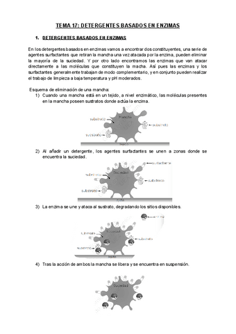 Tema-17.-Detergentes-basados-en-enzimas.pdf