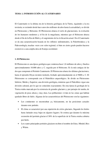 T-1-10-Riquelme.pdf