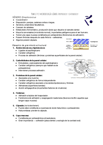 TEMA-12-Y-13-MICROBIOLOGIA.pdf