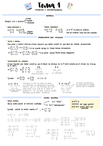 Matrices-Y-Determinantes.pdf
