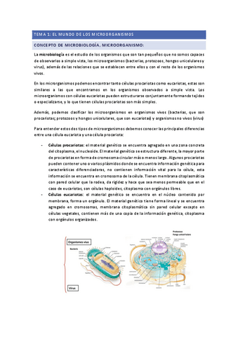 micro-1r-parcial-T1-5.pdf