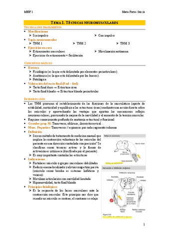 Temario-MEIF-1-Practicas-incluidas.pdf