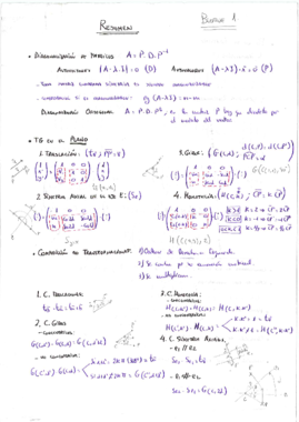 Tema 1 Aplicaciones de Calculo Matricial.pdf