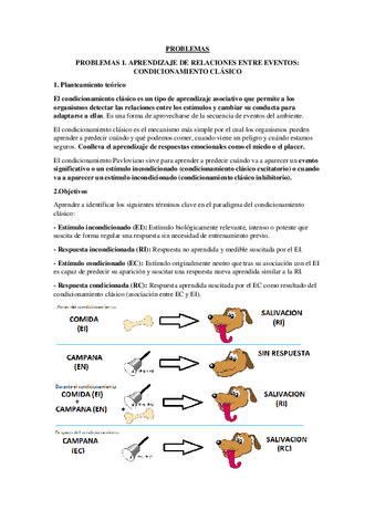 APUNTES-PROBLEMAS-LABORATORIOS-TUTORIAS.pdf
