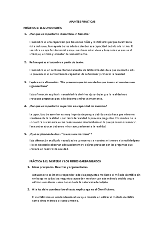 APUNTES-PRACTICAS.pdf