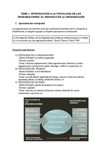 Psicologia-d-las-organizaciones.pdf