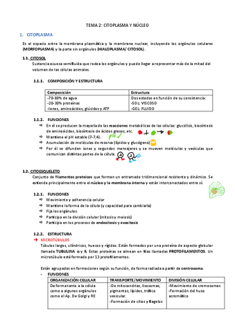 EyF I-2.-Citoplasma-y-nucleo.pdf