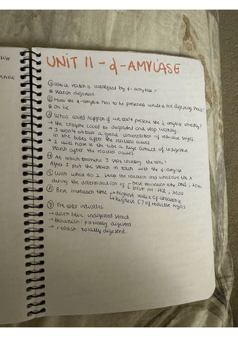 UNIT-11.pdf