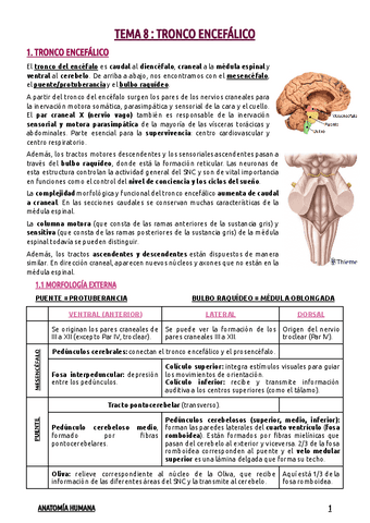 TEMA-8--TRONCO-ENCEFALICO.pdf