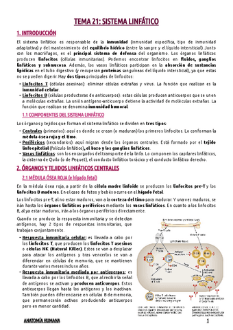TEMA-21--SISTEMA-LINFATICO.pdf