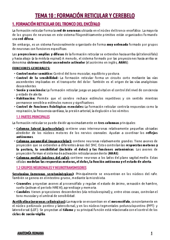 TEMA-10--FORMACION-RETICULAR-DEL-TRONCO-DEL-ENCEFALO.-CEREBELO.pdf