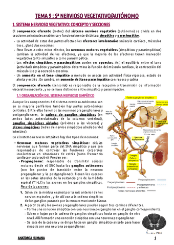 TEMA-9--Sa-NERVIOSOSO-VEGETATIVOAUTONOMO.pdf