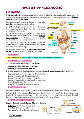 TEMA-15--SISTEMA-NEUROENDOCRINO.pdf