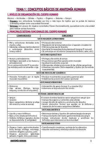 TEMA-1--CONCEPTOS-BASICOS.pdf