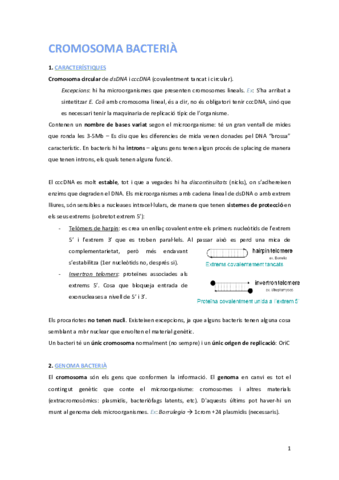 Tema 1. Cromosoma bacterià.pdf