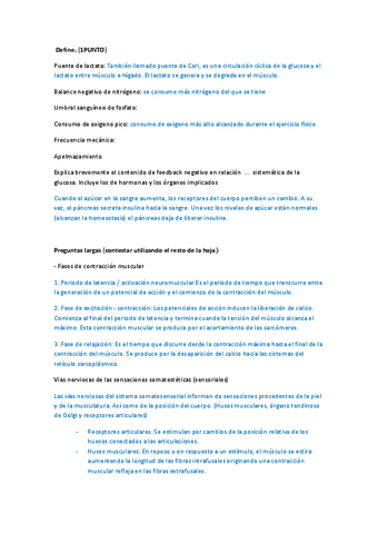 preguntas-largas-1-parcial.pdf