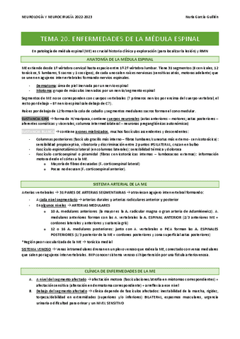 Resumen-T20-Medula-espinal.pdf