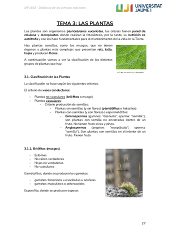 TEMA-3-LAS-PLANTAS.pdf