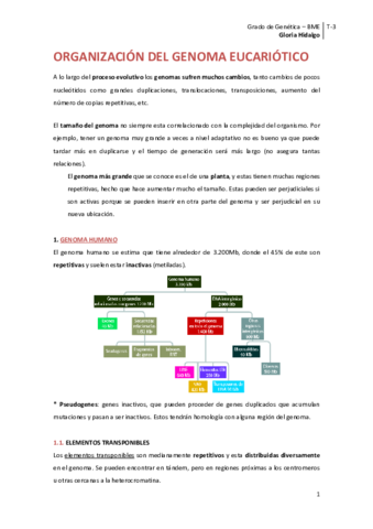 Tema 3. Organización del genoma.pdf