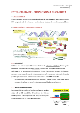 Tema 4. Estructura del cromosoma eucariota.pdf