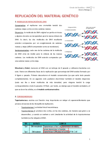 Tema 5. Replicación y recombinación.pdf