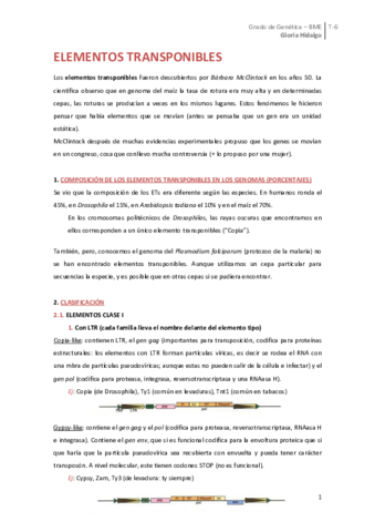 Tema 6. Elementos transponibles.pdf