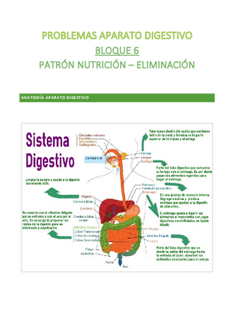 PROBLEMAS-APARATO-DIGESTIVO.pdf