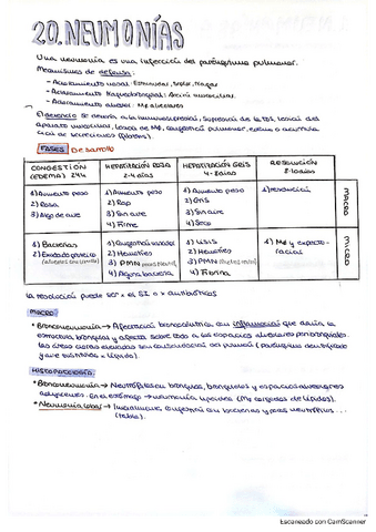 RESUMENES-ANATO-PATO-PARTE-2.pdf