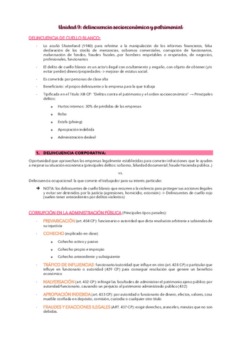 Unidad-9-Delincuencia-socioeconomica-y-patrimonial.pdf
